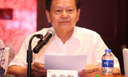 中国家电协在福州召开会议中国轻工业联合会党委书记、会长 张崇和讲话发言