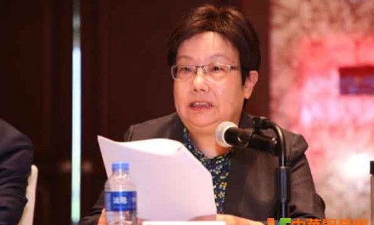 中国家电协在福州召开会议中国家用电器协会执行理事长 姜风讲话发言